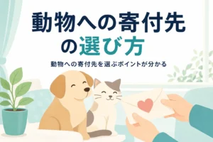 保護犬・保護猫など動物への寄付先の選び方と確かめたいポイントを紹介する記事のアイキャッチ