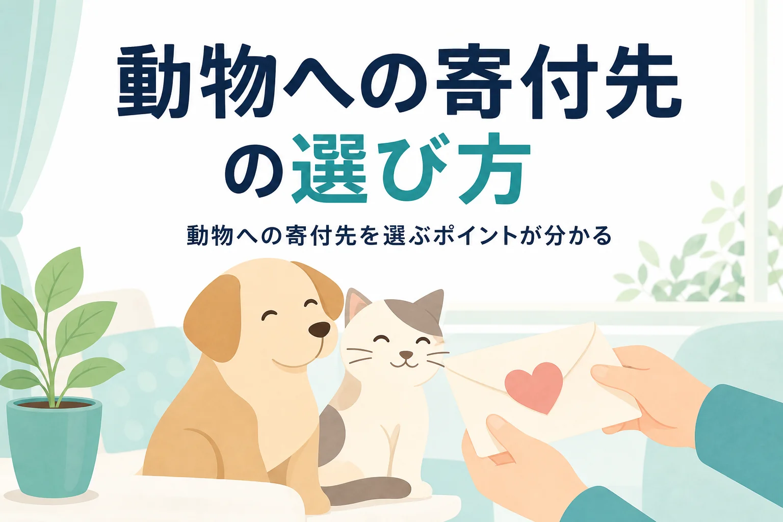 保護犬・保護猫など動物への寄付先の選び方と確かめたいポイントを紹介する記事のアイキャッチ